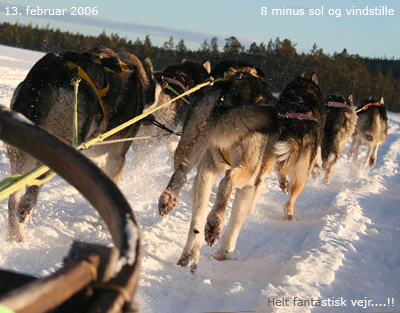 Lotte & Lotte p tur med super-8'eren (Viljar/Vanja-Fox/Alaska-Yukon/Rocket-Luffe/Amber)