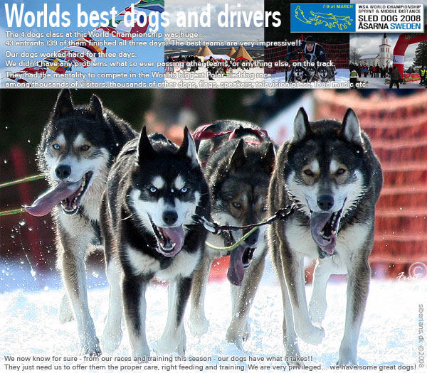 You can also find a link to this photo (better quality) from our news-site...