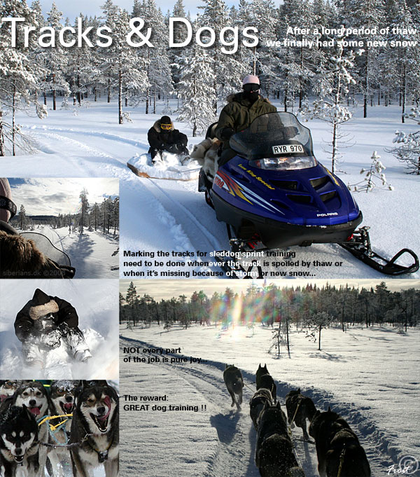You can also find a link to this photo (better quality) from our news-site...